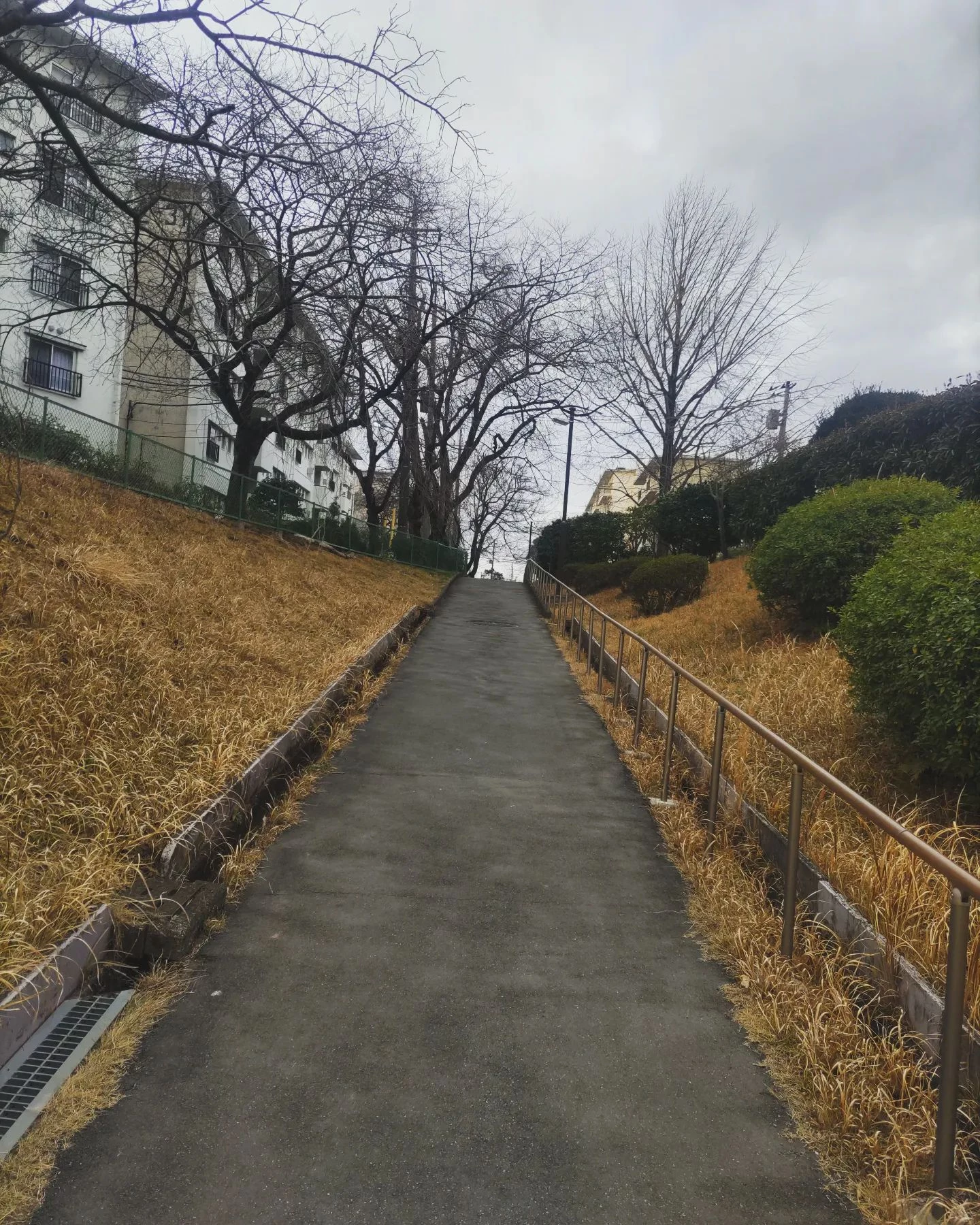 画像233