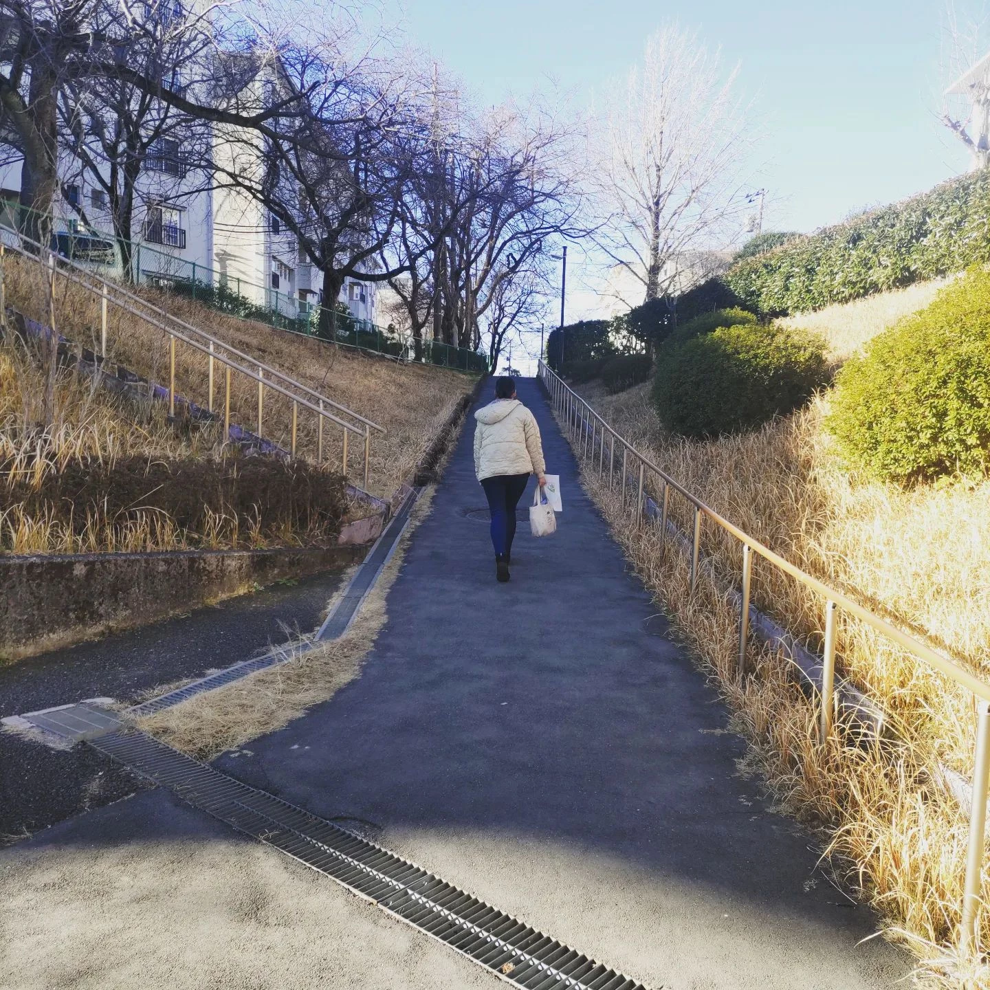画像235
