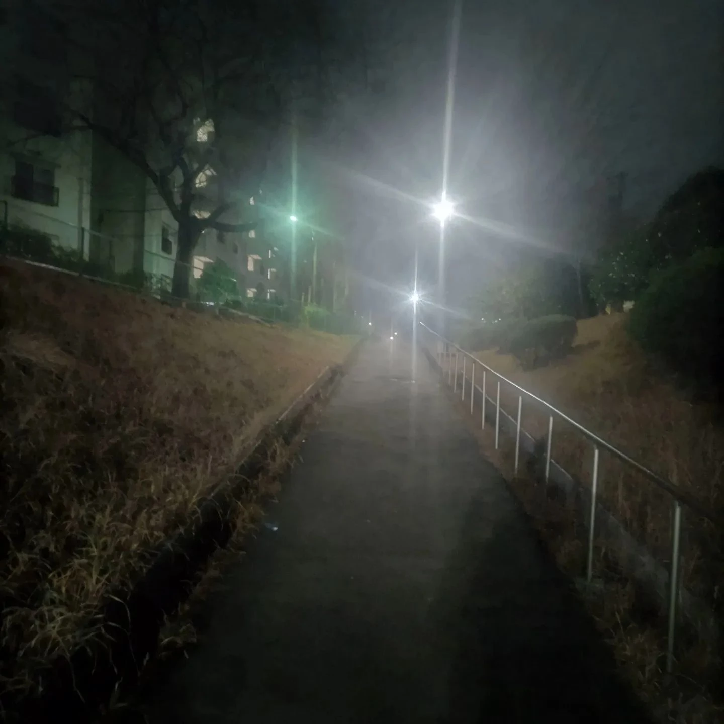 画像249