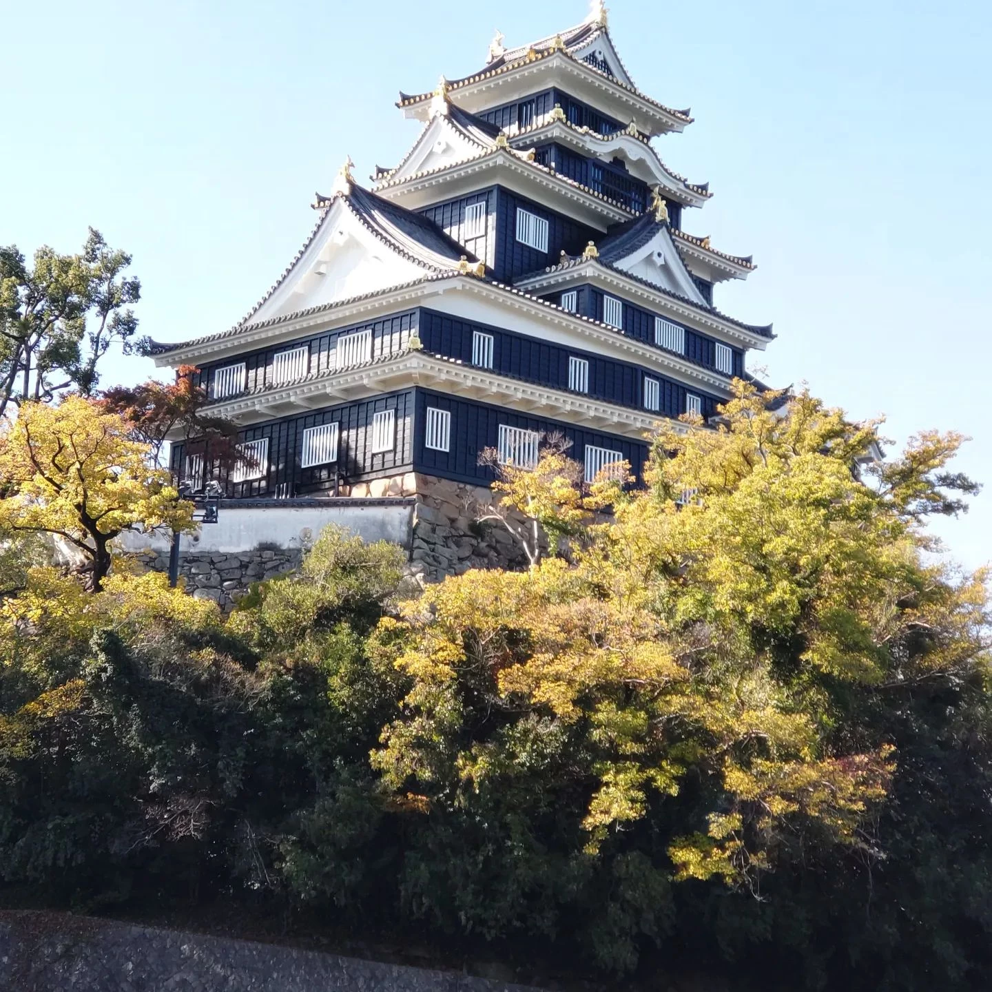 画像251
