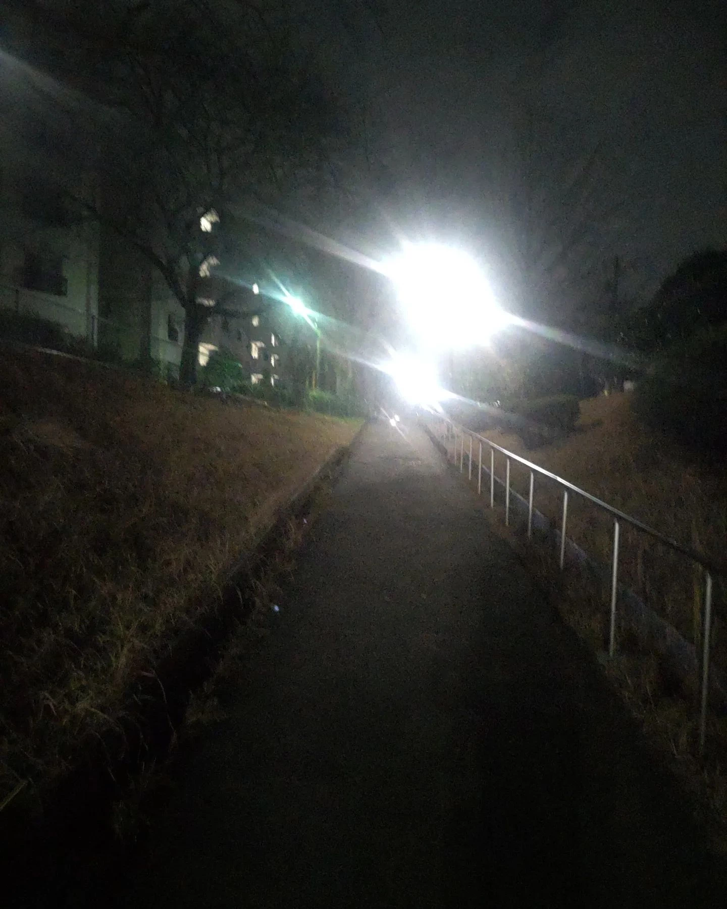 画像255