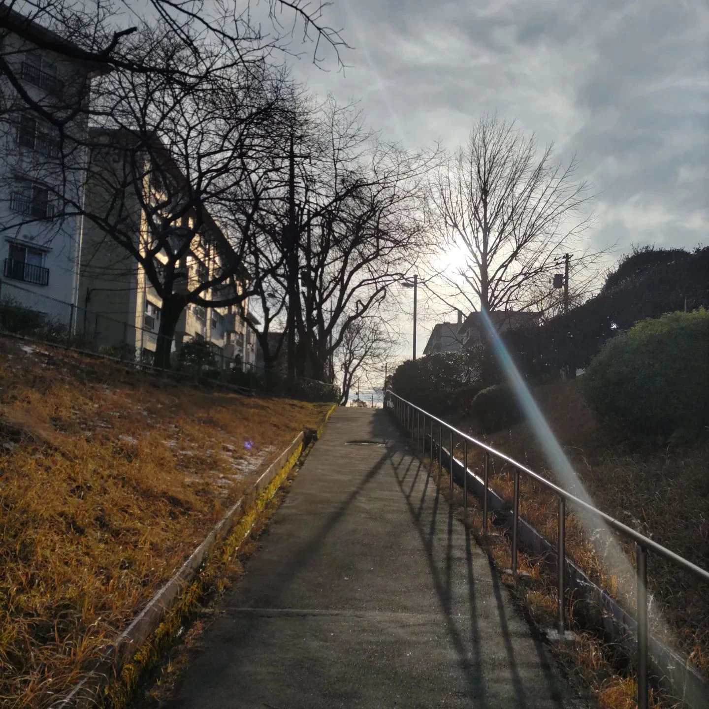 画像259
