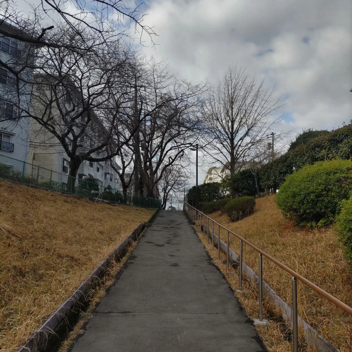 画像261