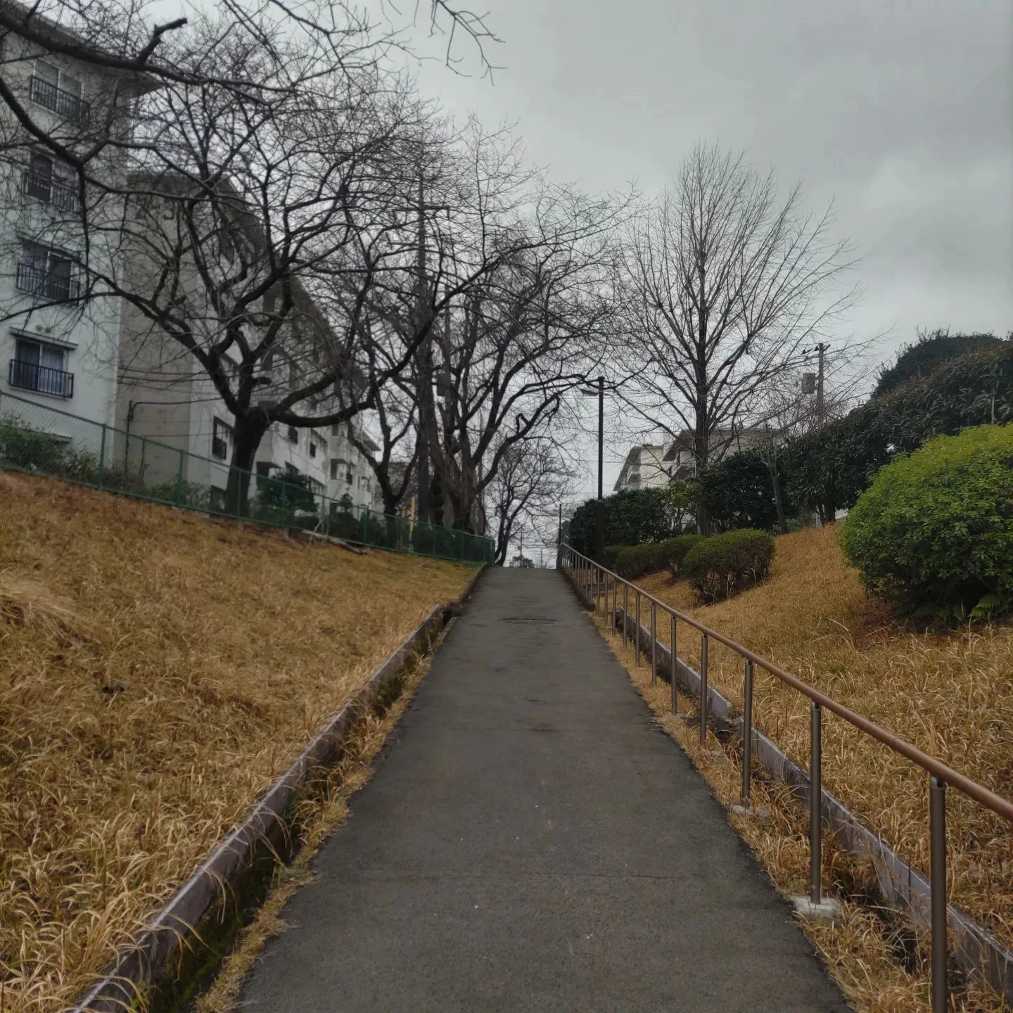 画像263