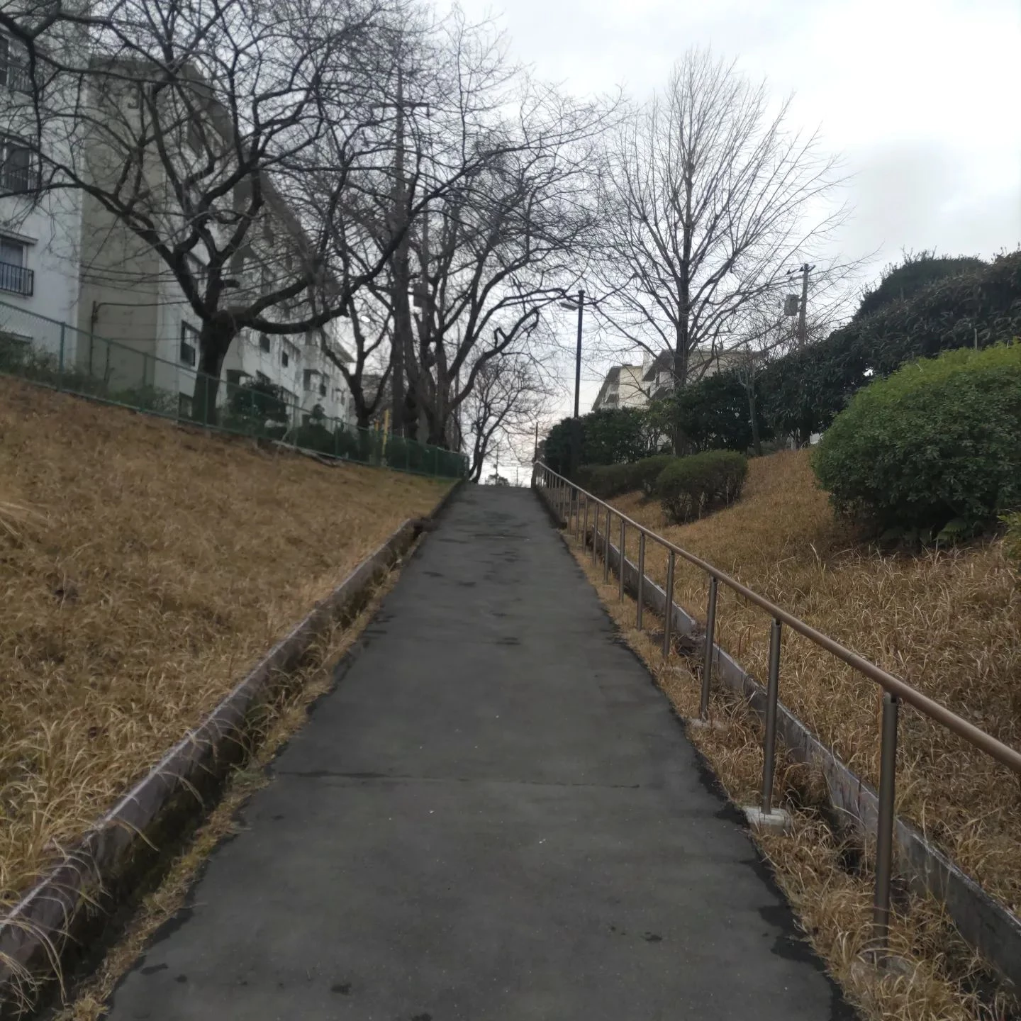 画像265