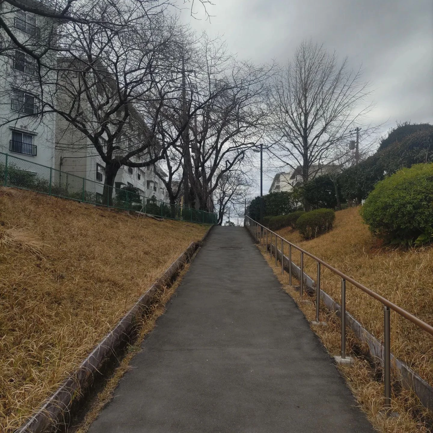 画像267