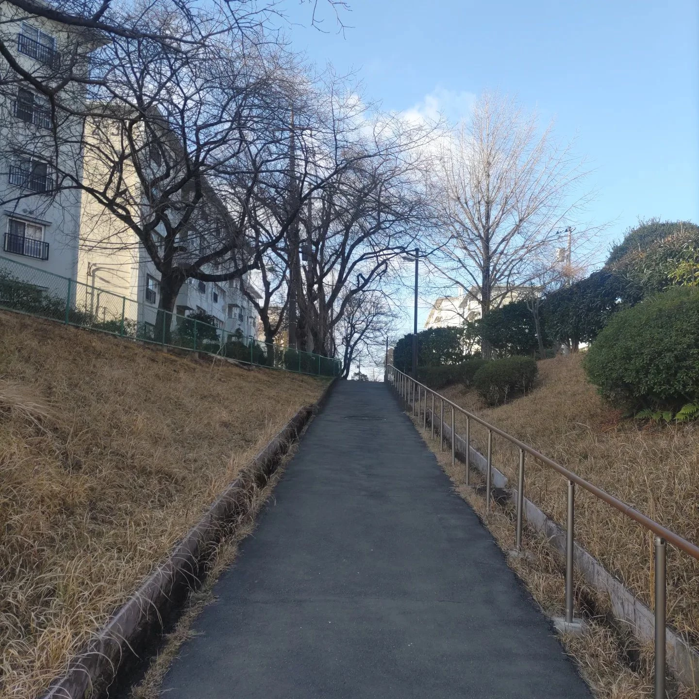 画像269