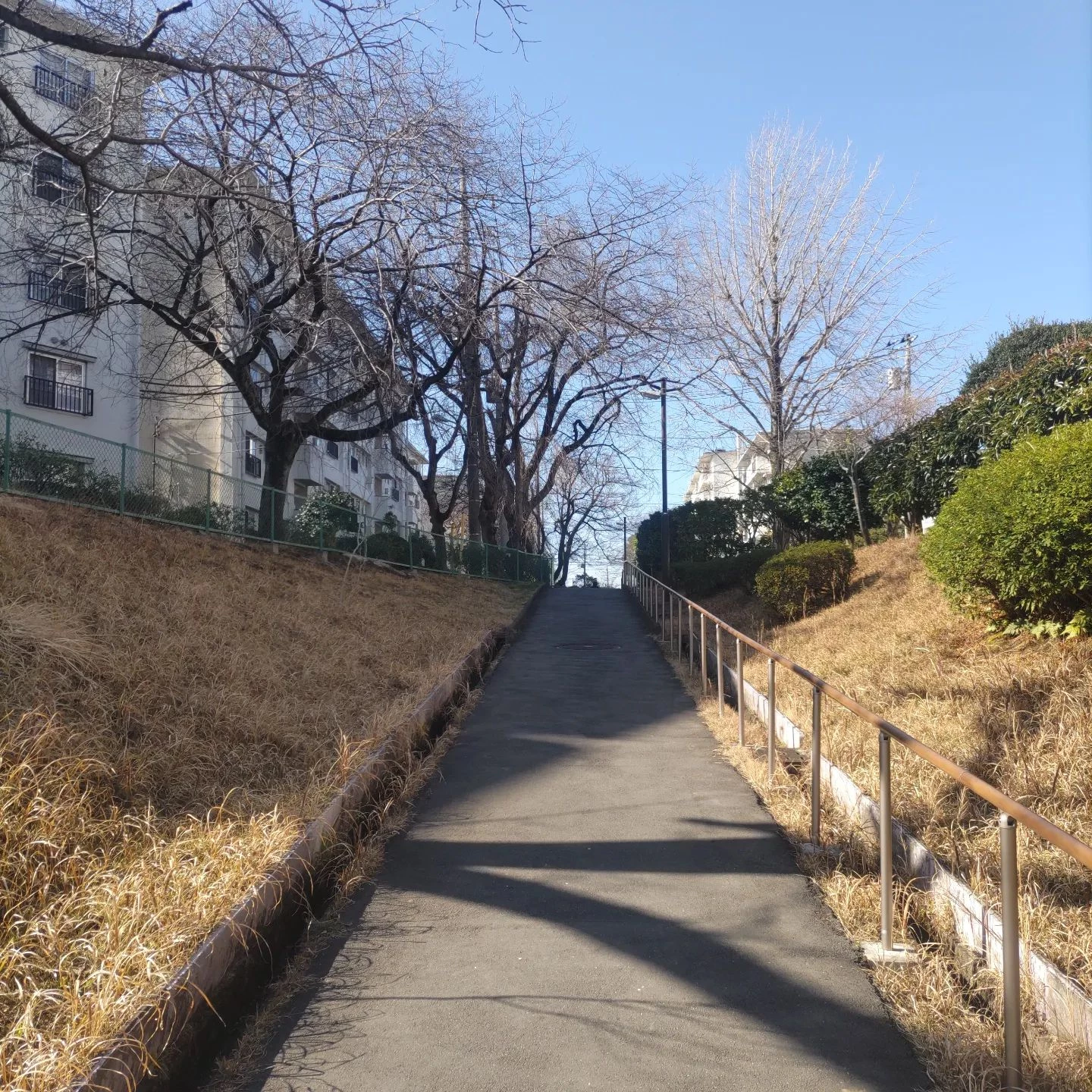 画像275
