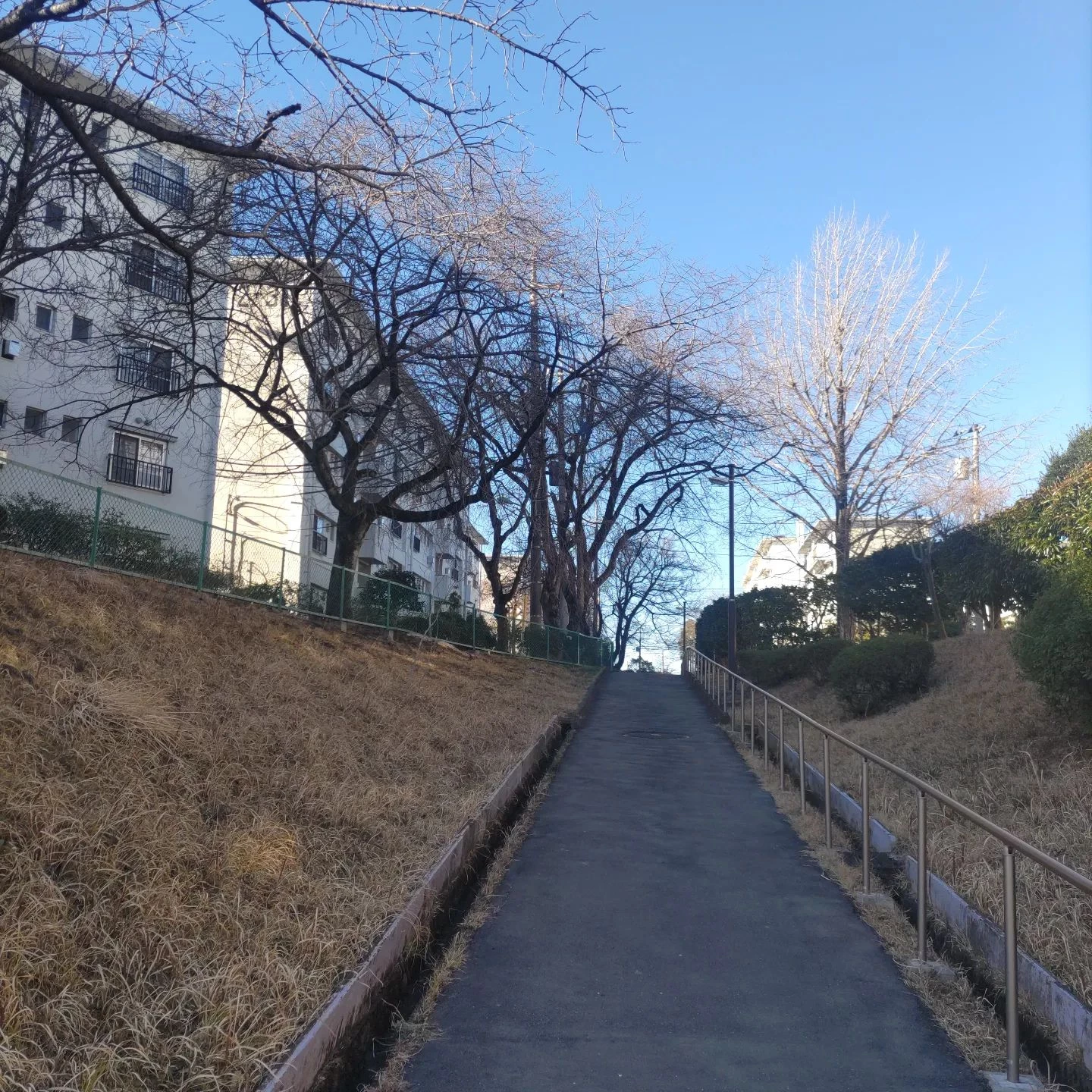 画像277