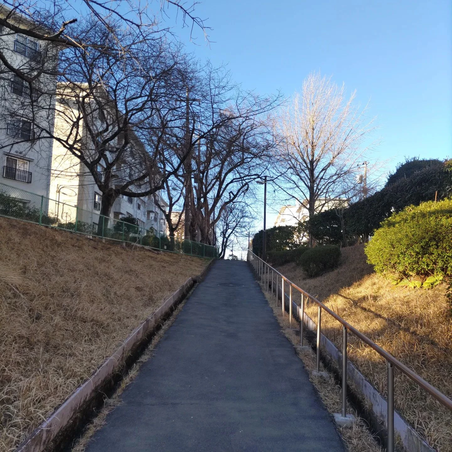 画像279