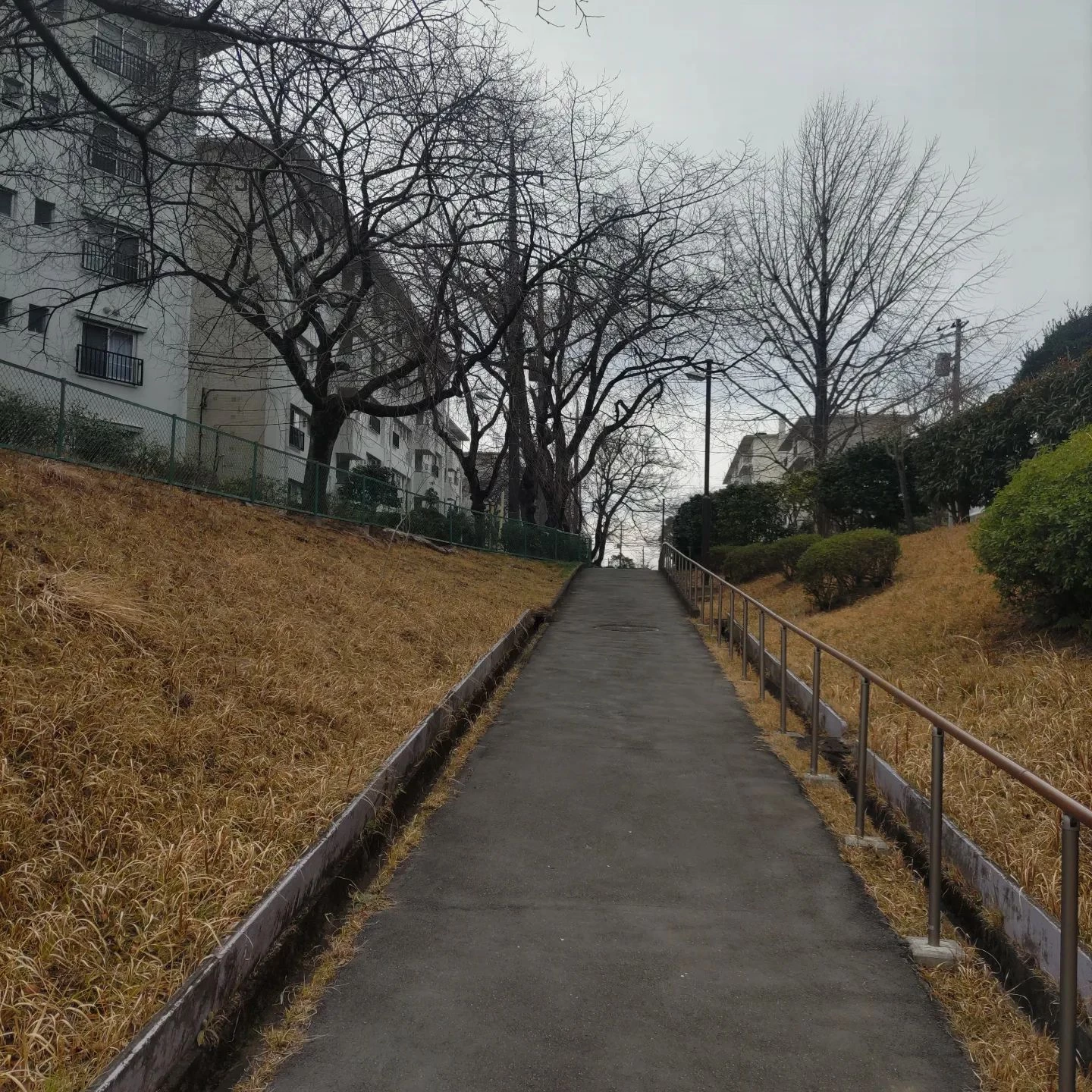 画像281