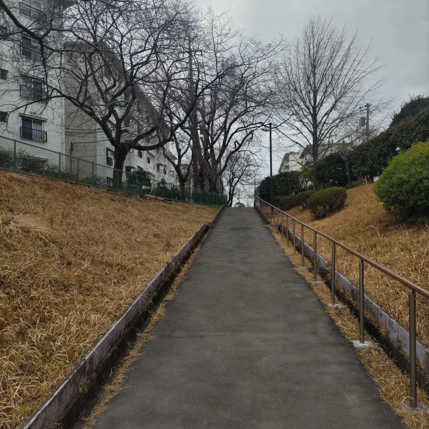 画像283