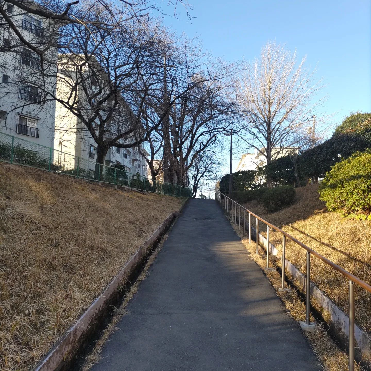 画像285