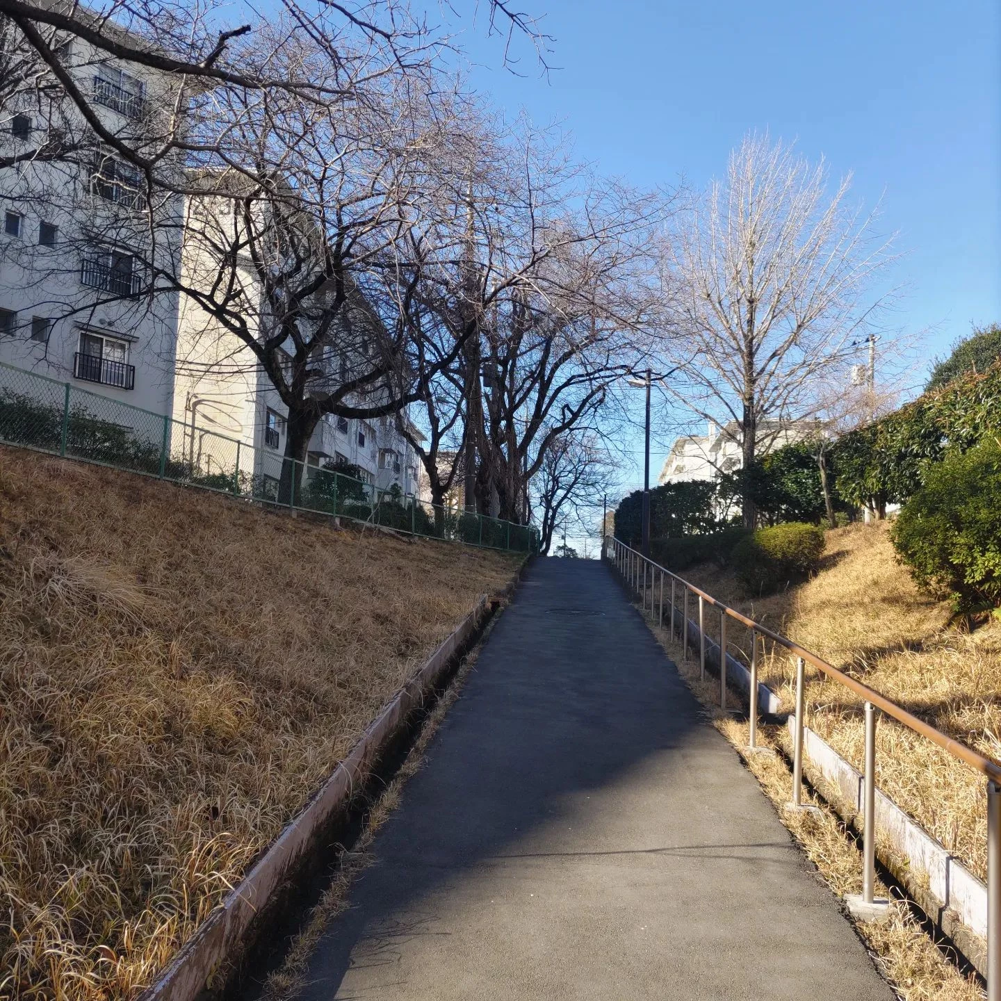 画像287