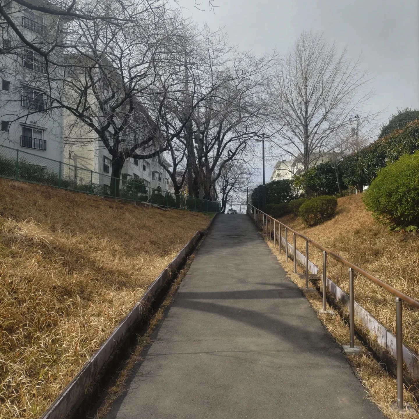 画像289