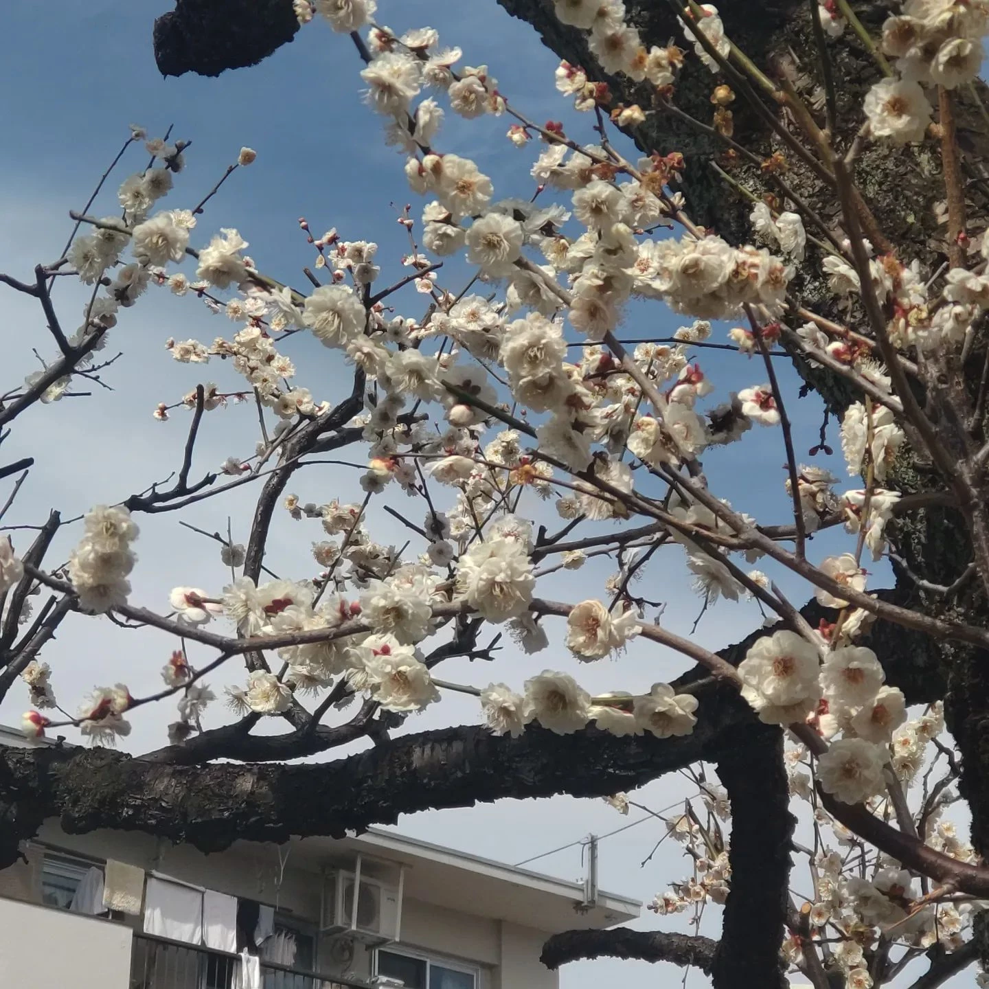 画像291