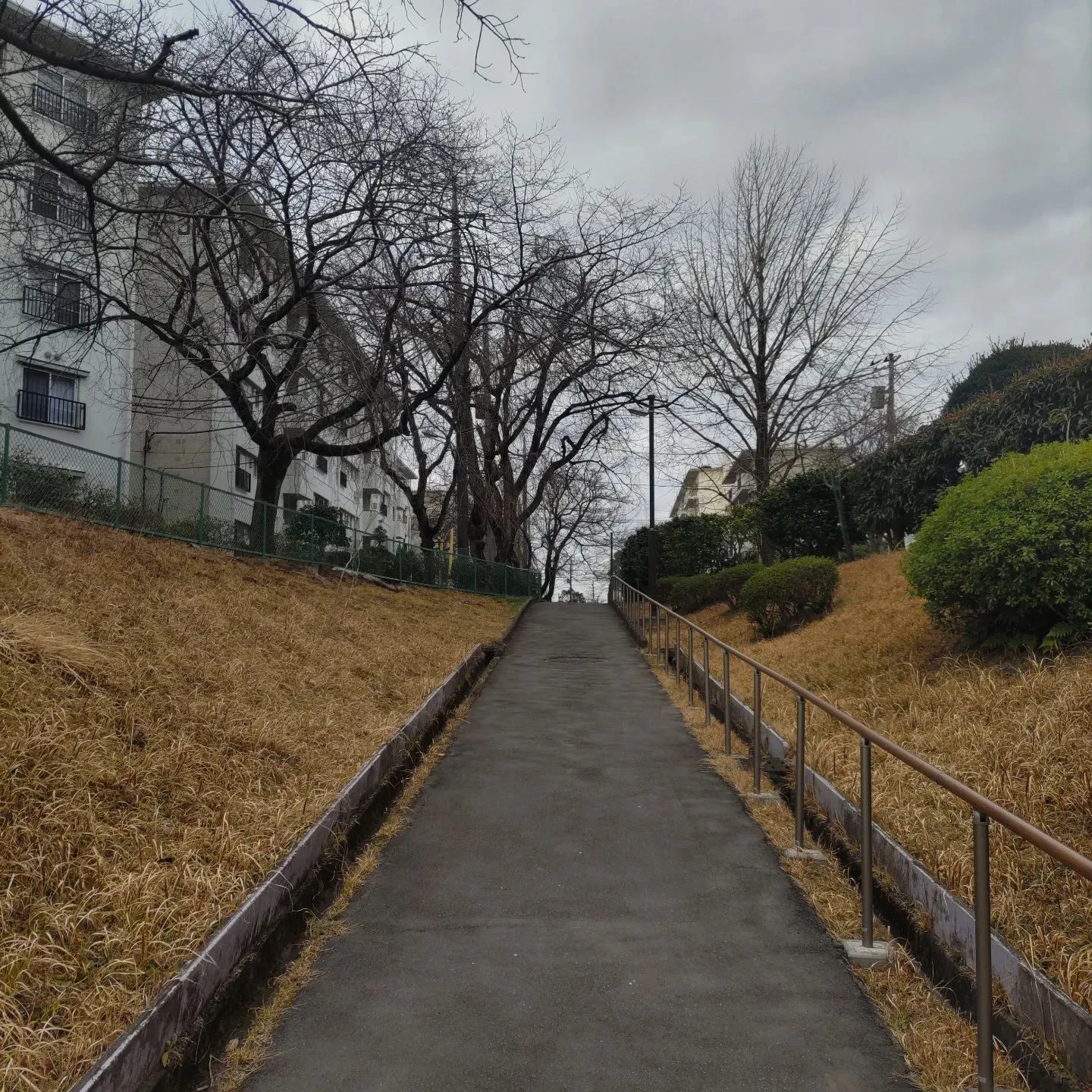 画像293