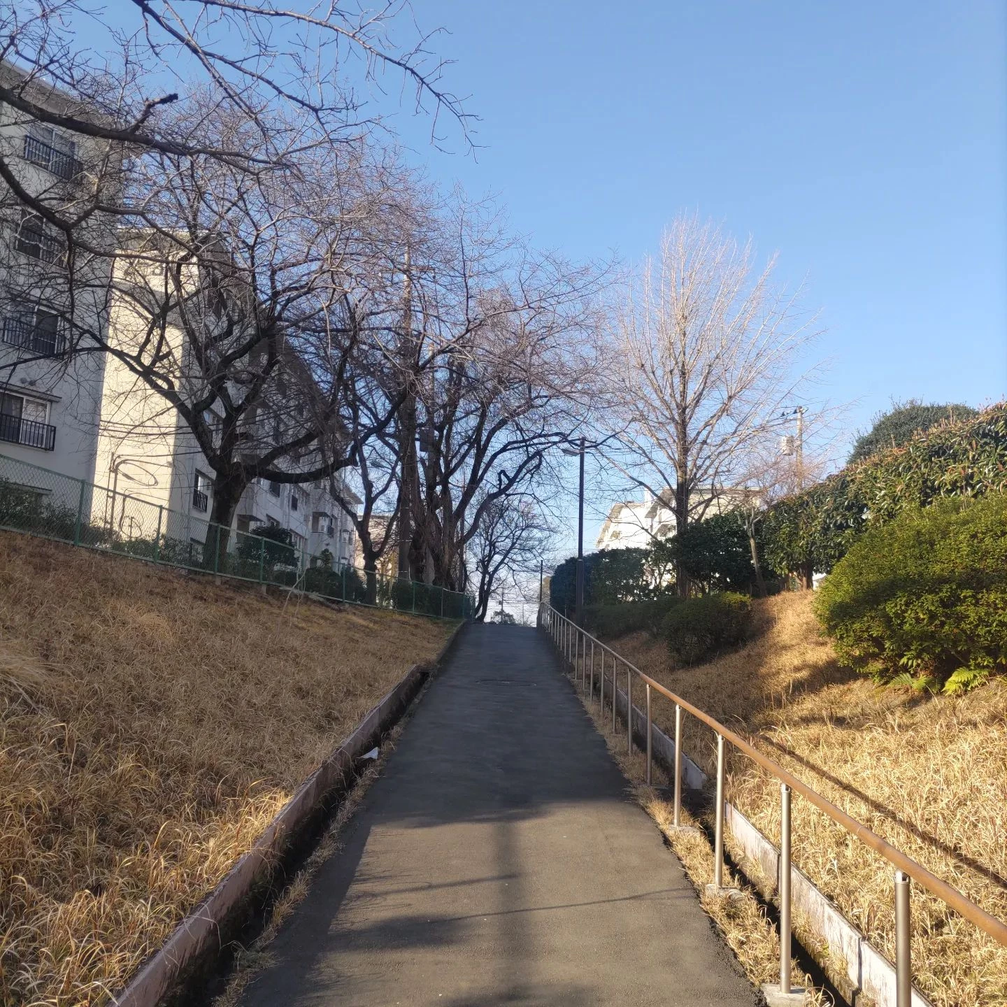 画像295