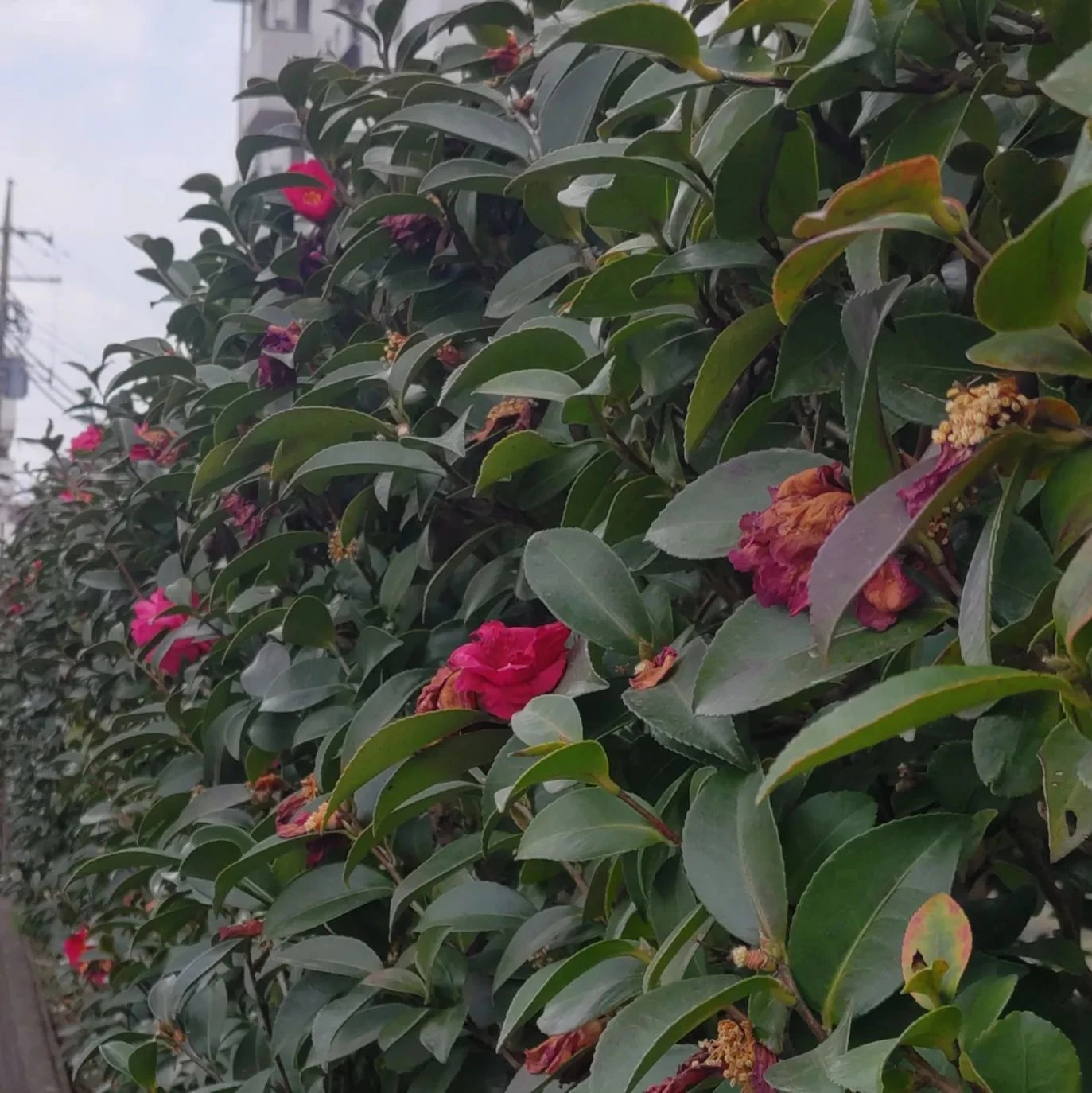 画像299