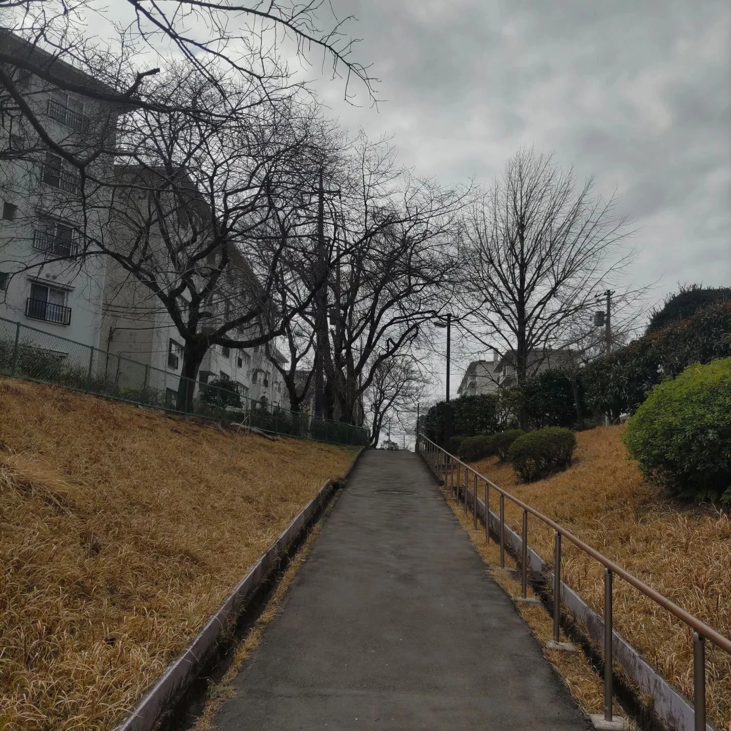画像301