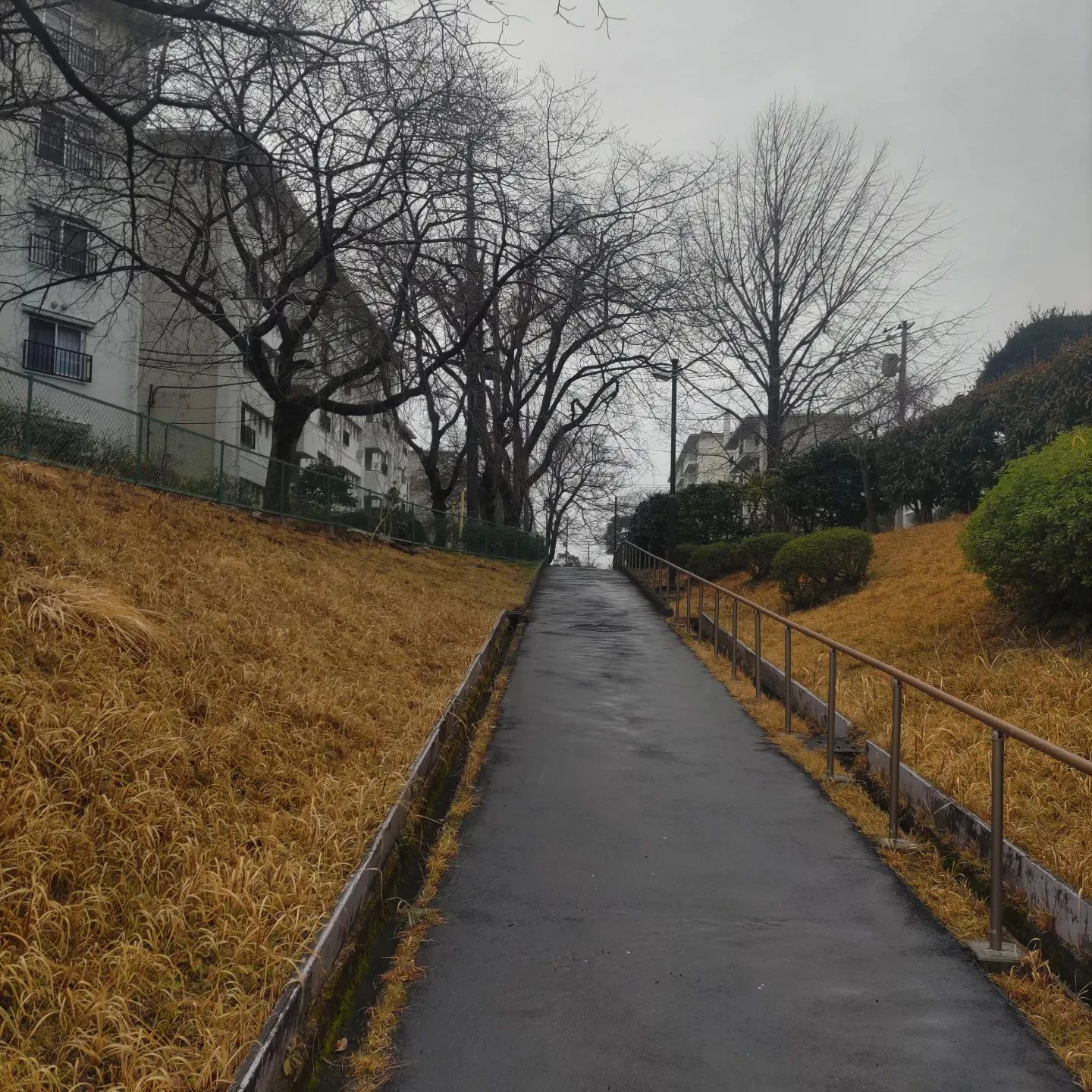 画像307