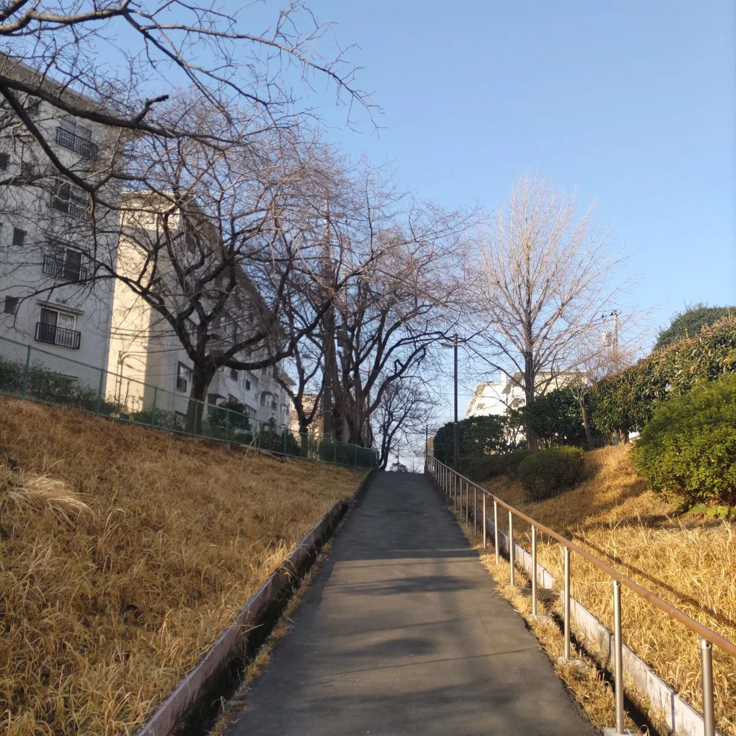 画像309
