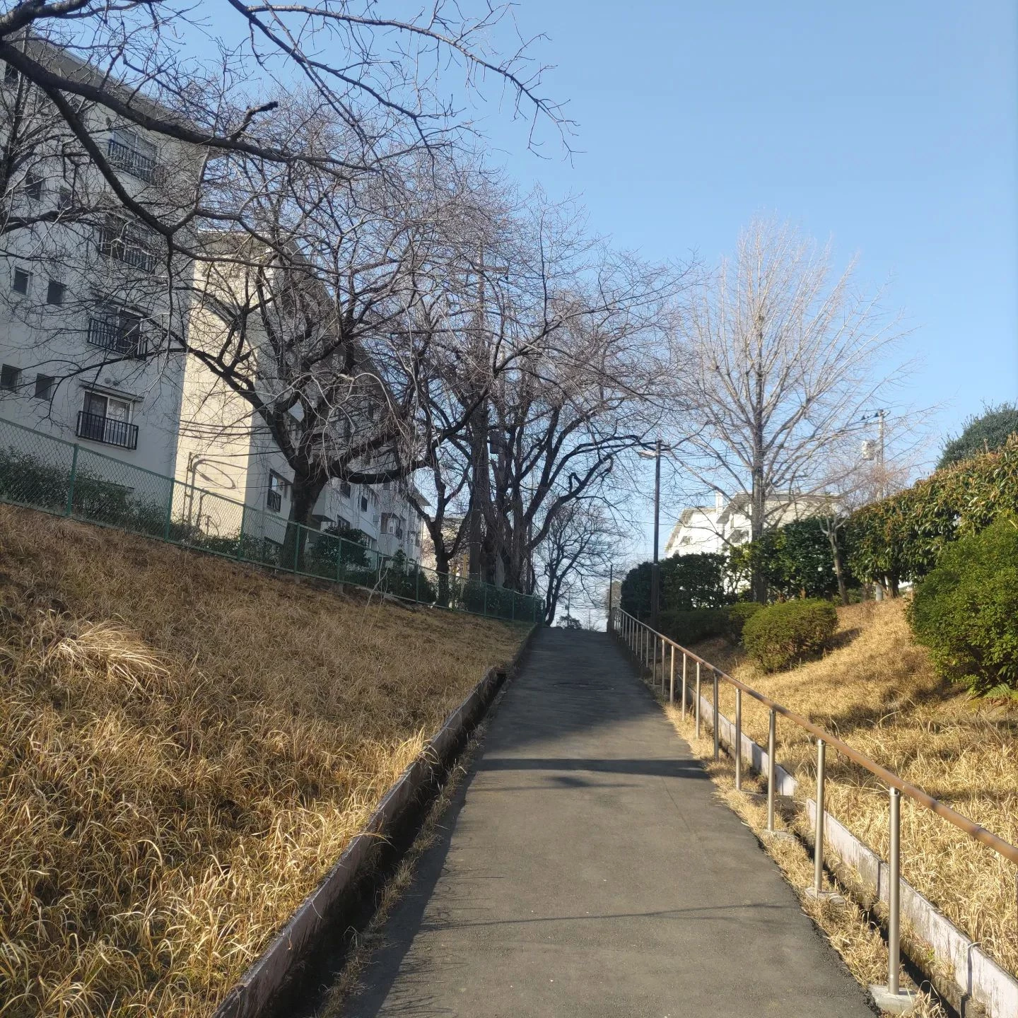 画像311