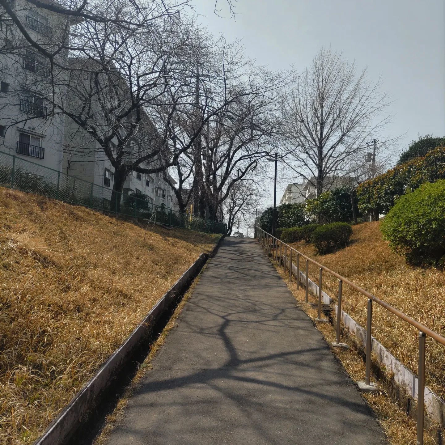 画像313