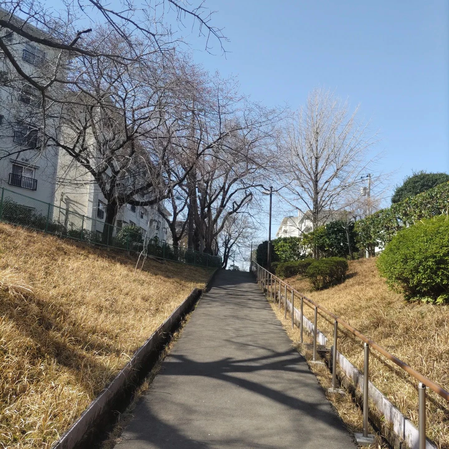 画像315