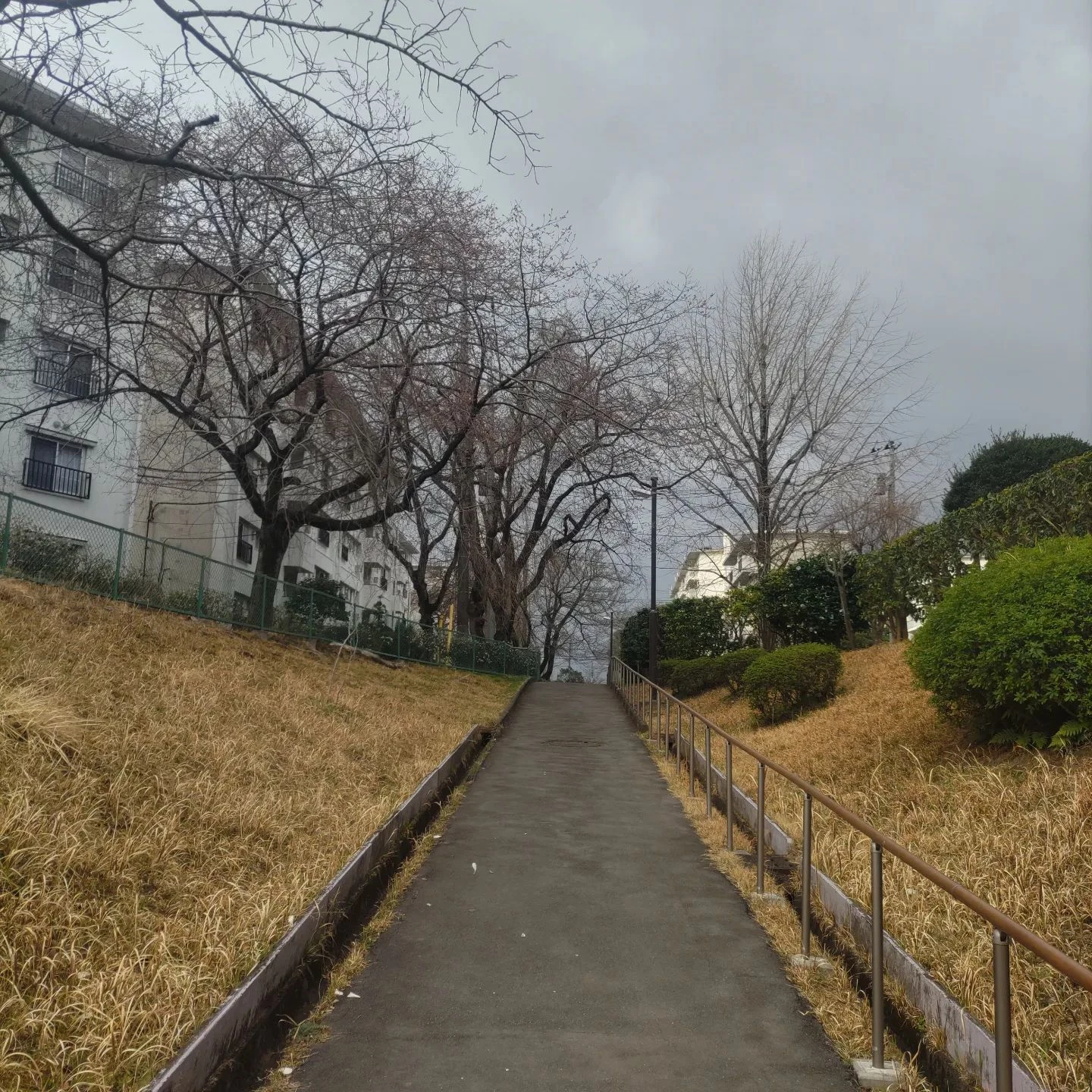 画像321