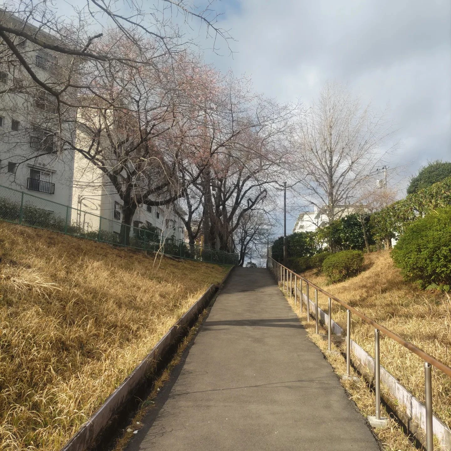 画像323