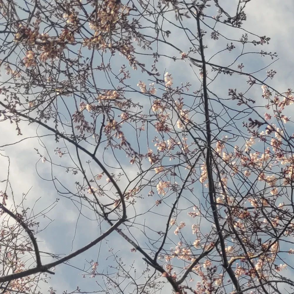 画像327