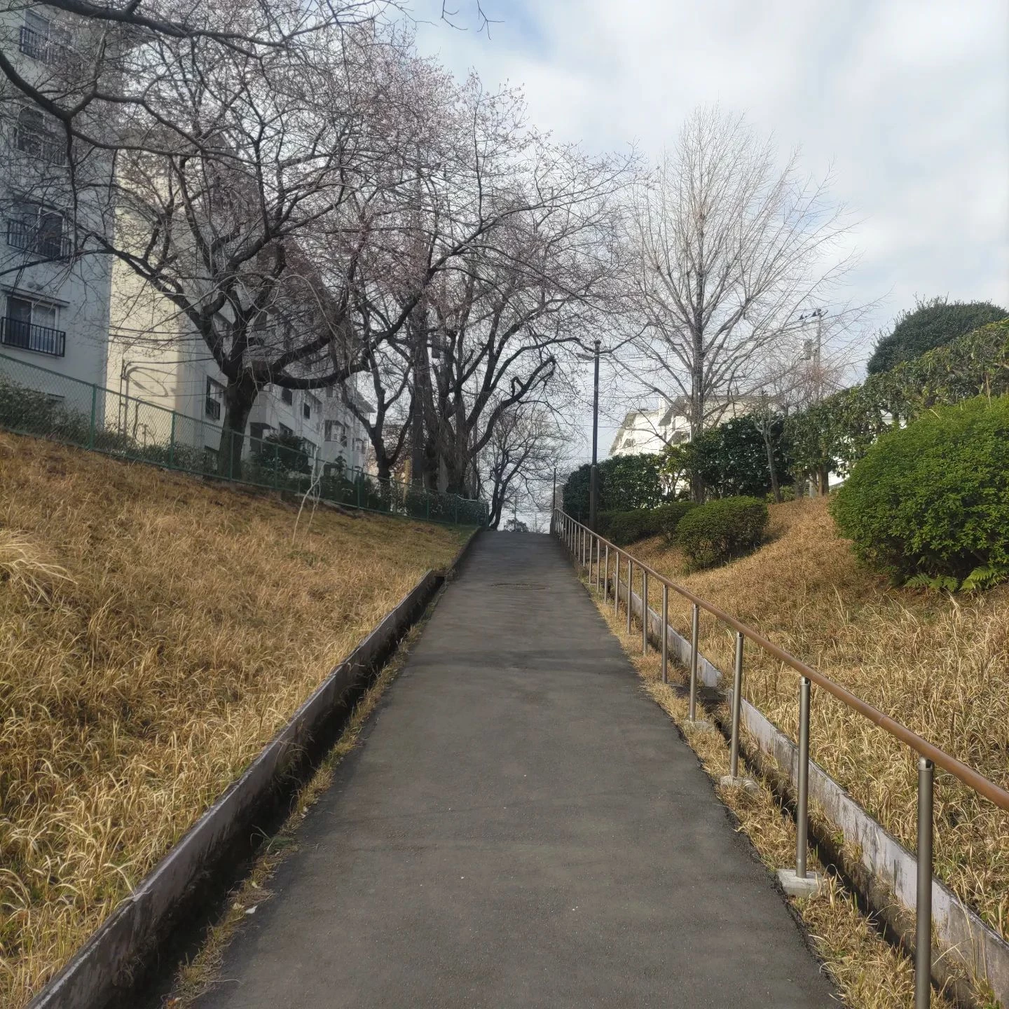 画像329