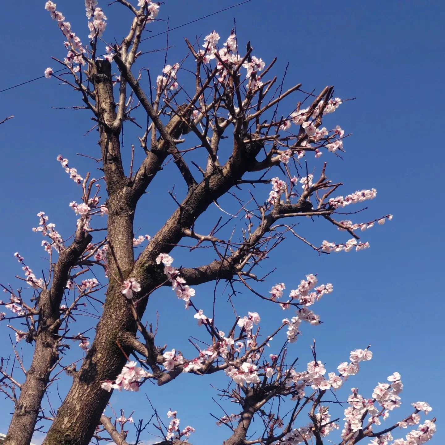 画像331