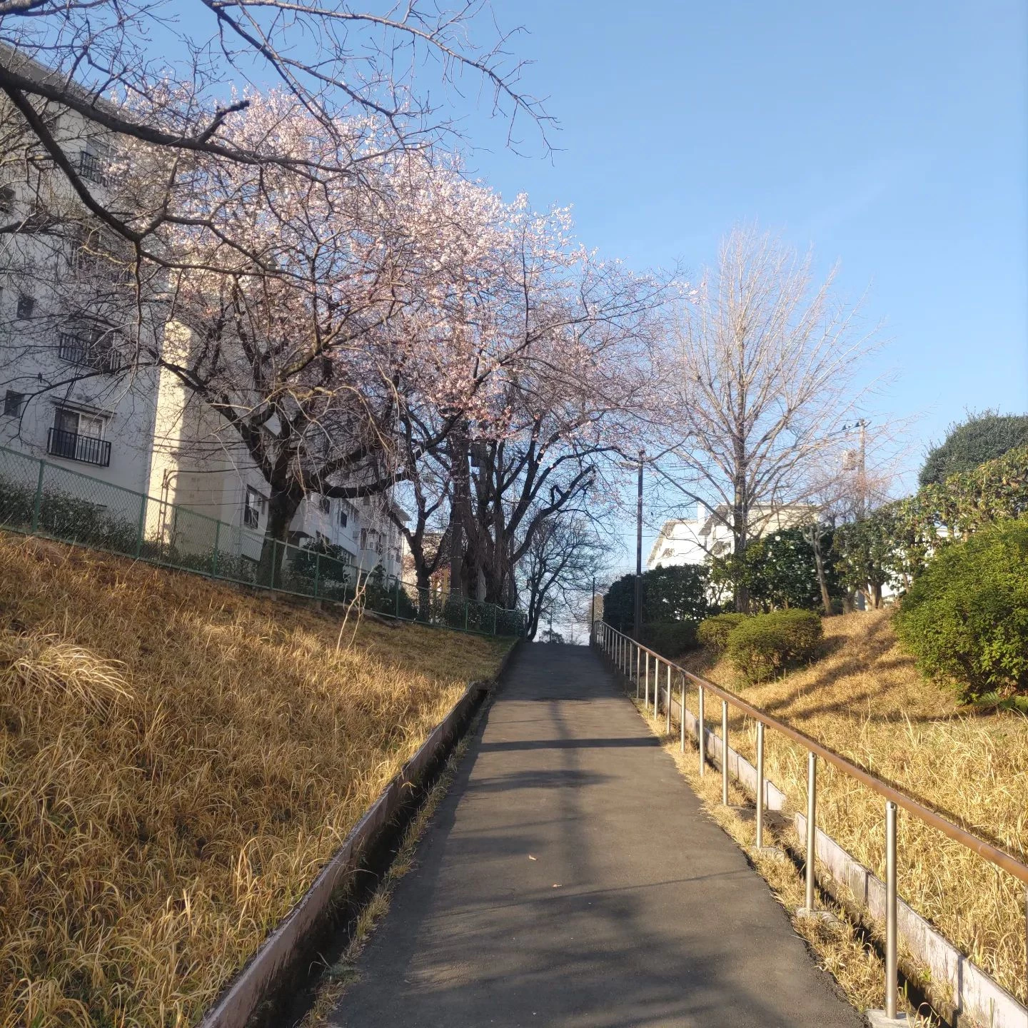 画像337