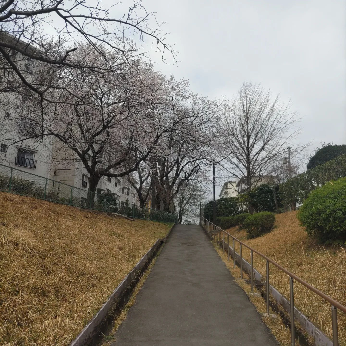 画像345