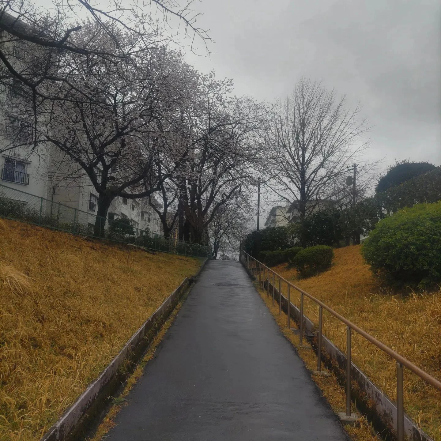 画像347