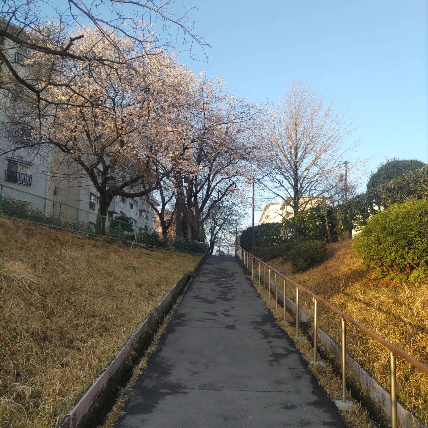 画像349