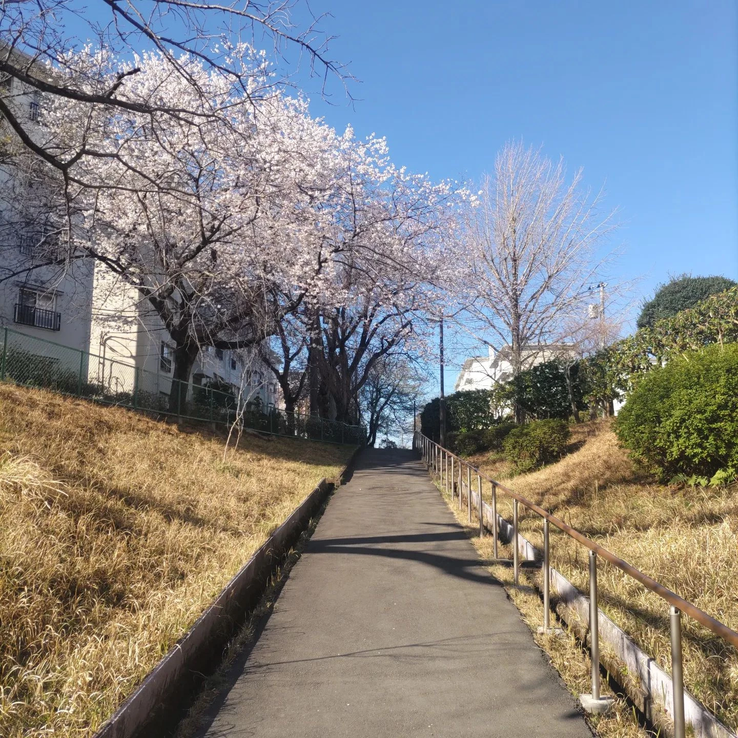 画像351