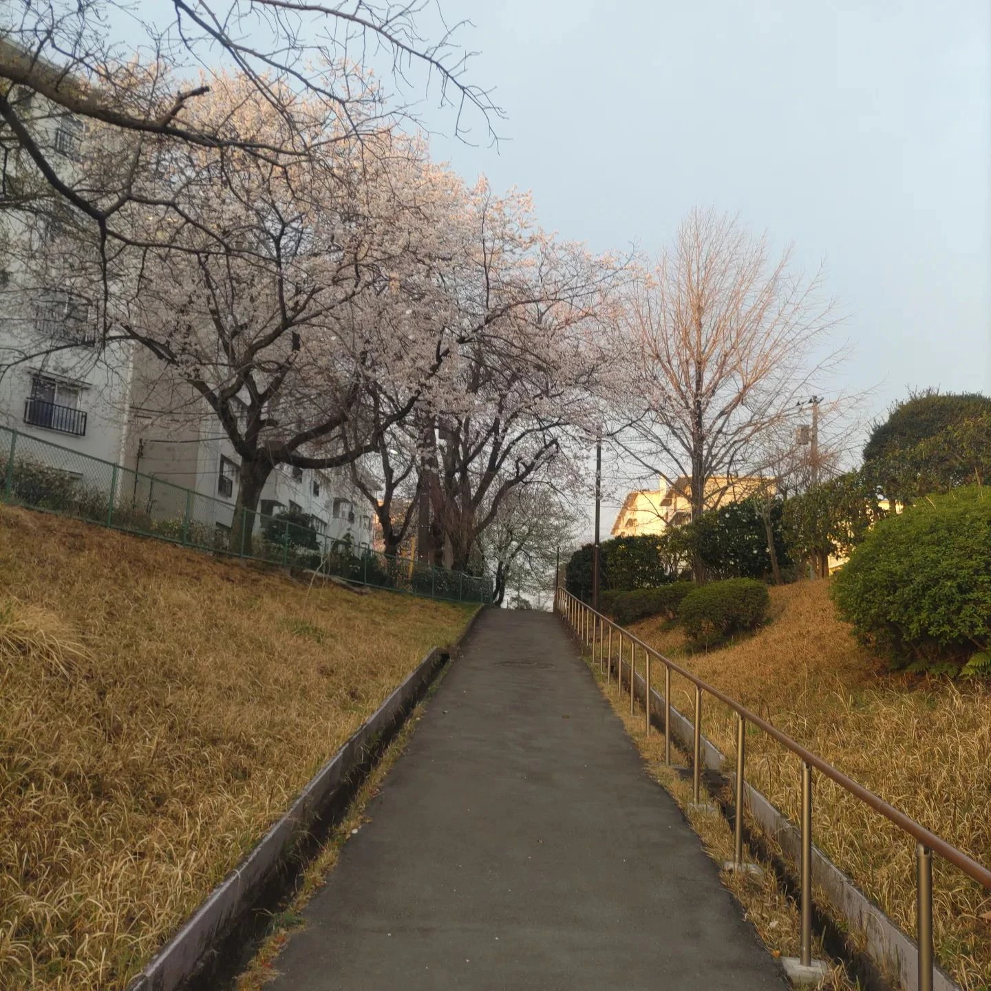 画像355