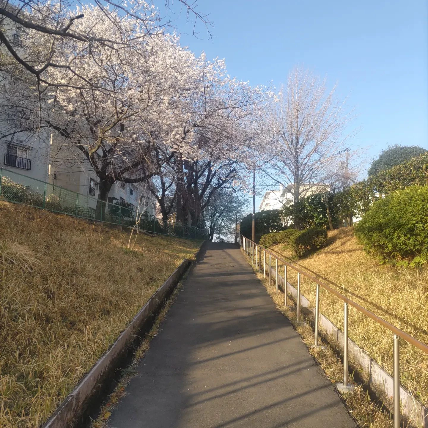 画像359