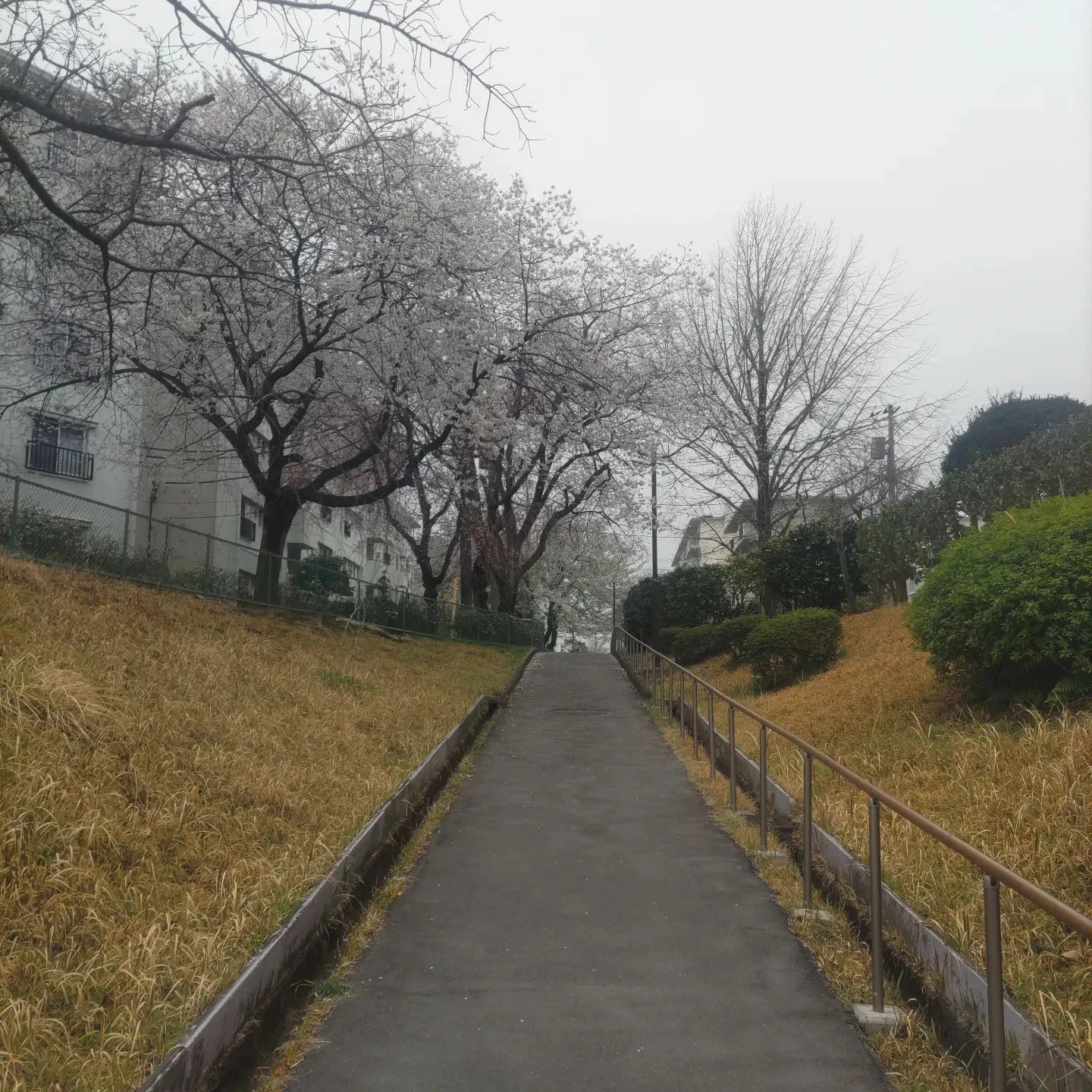 画像361