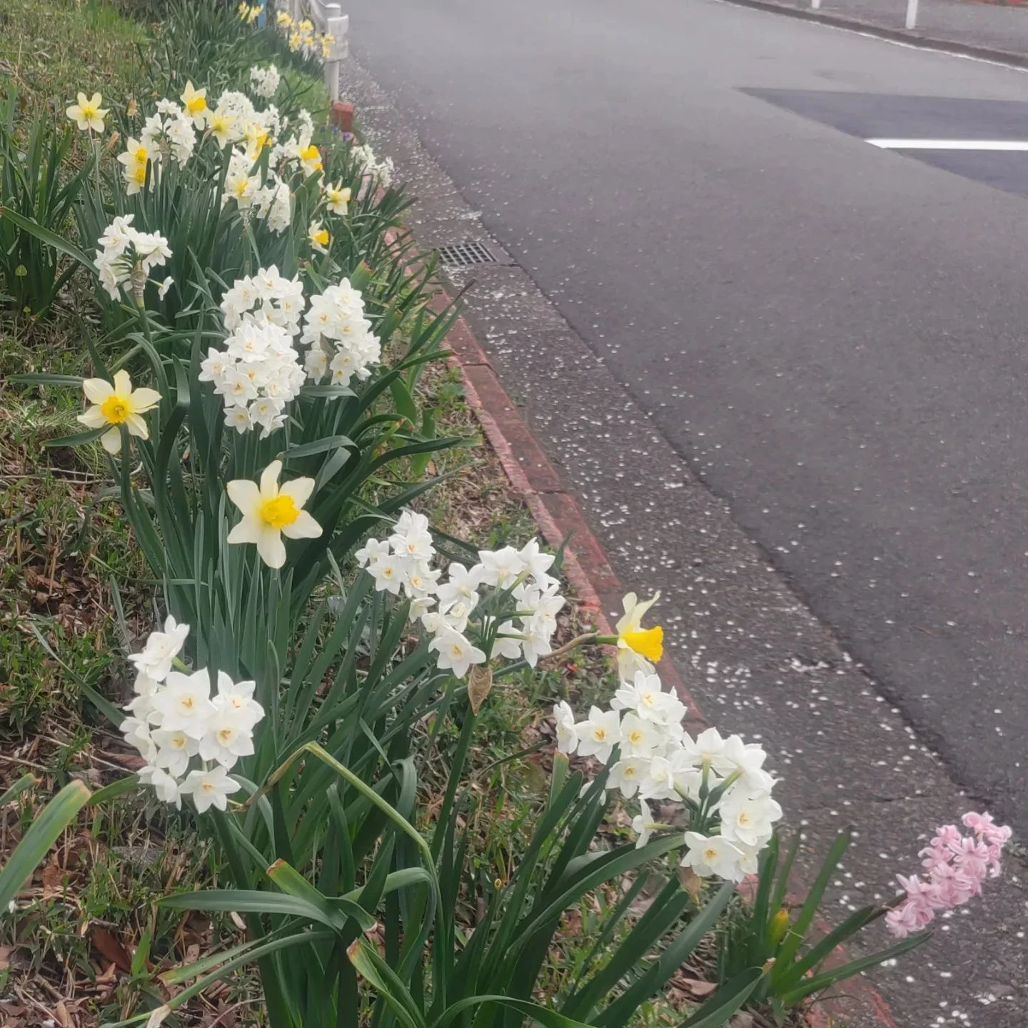 画像365