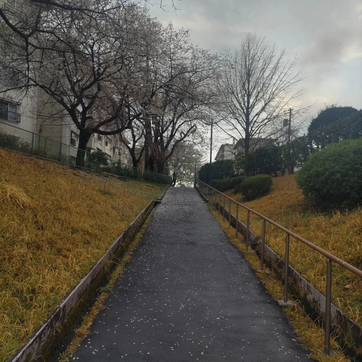 画像371