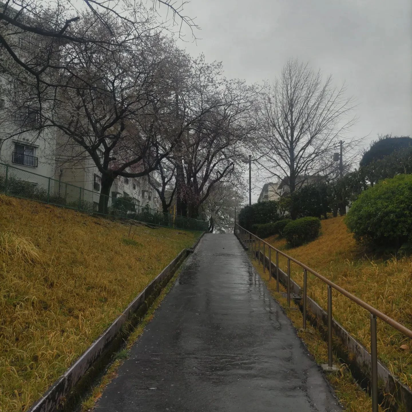 画像379
