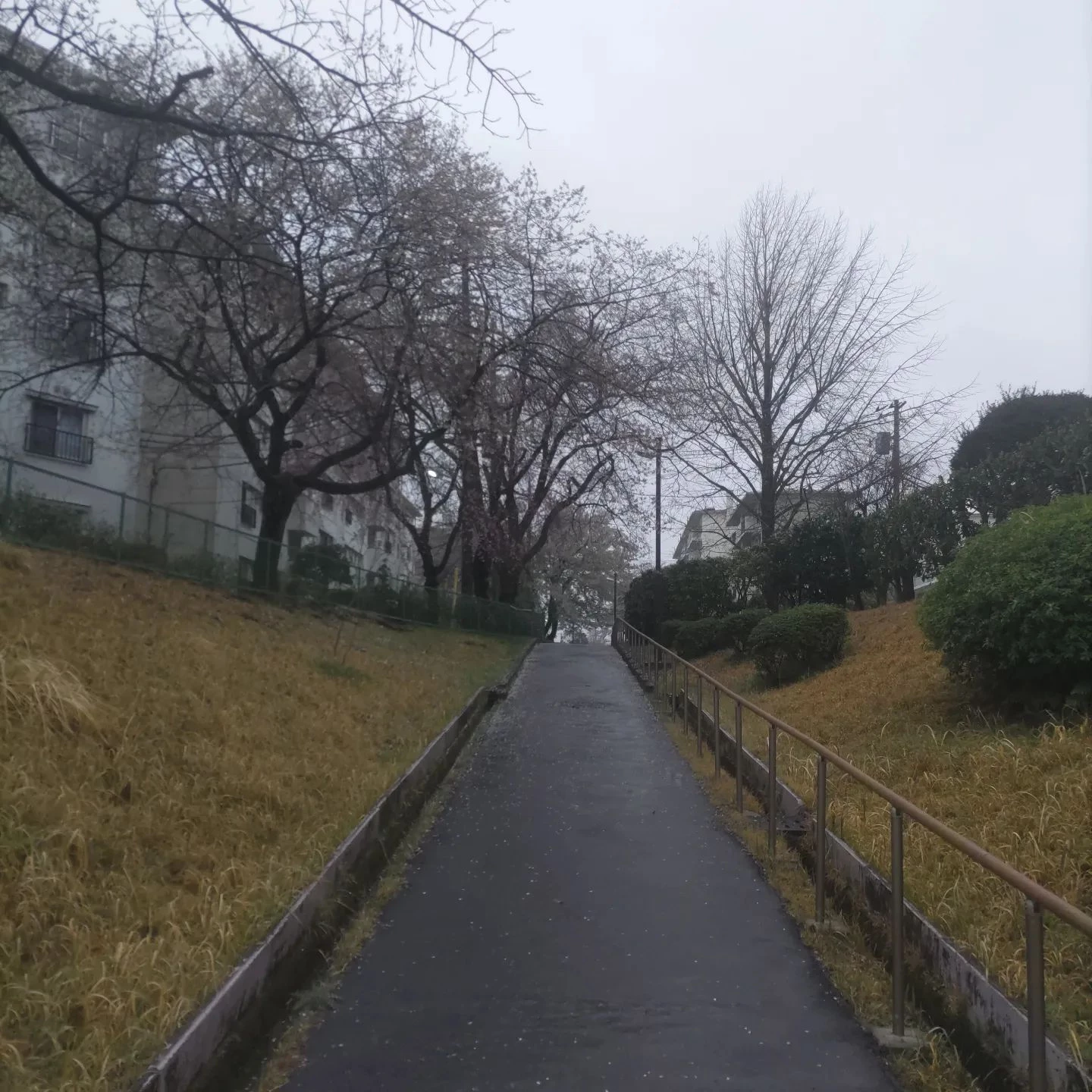 画像381