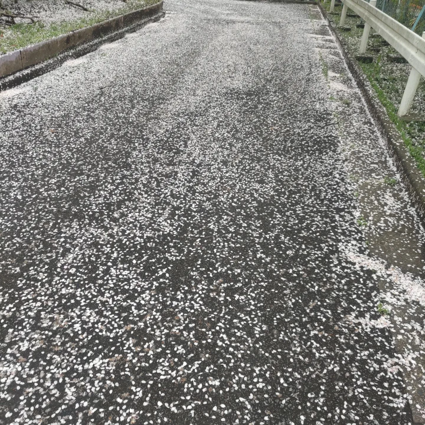 画像385