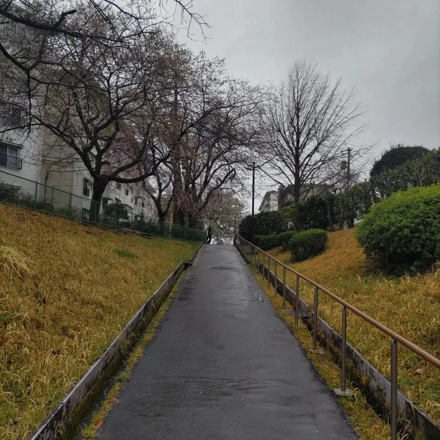画像387