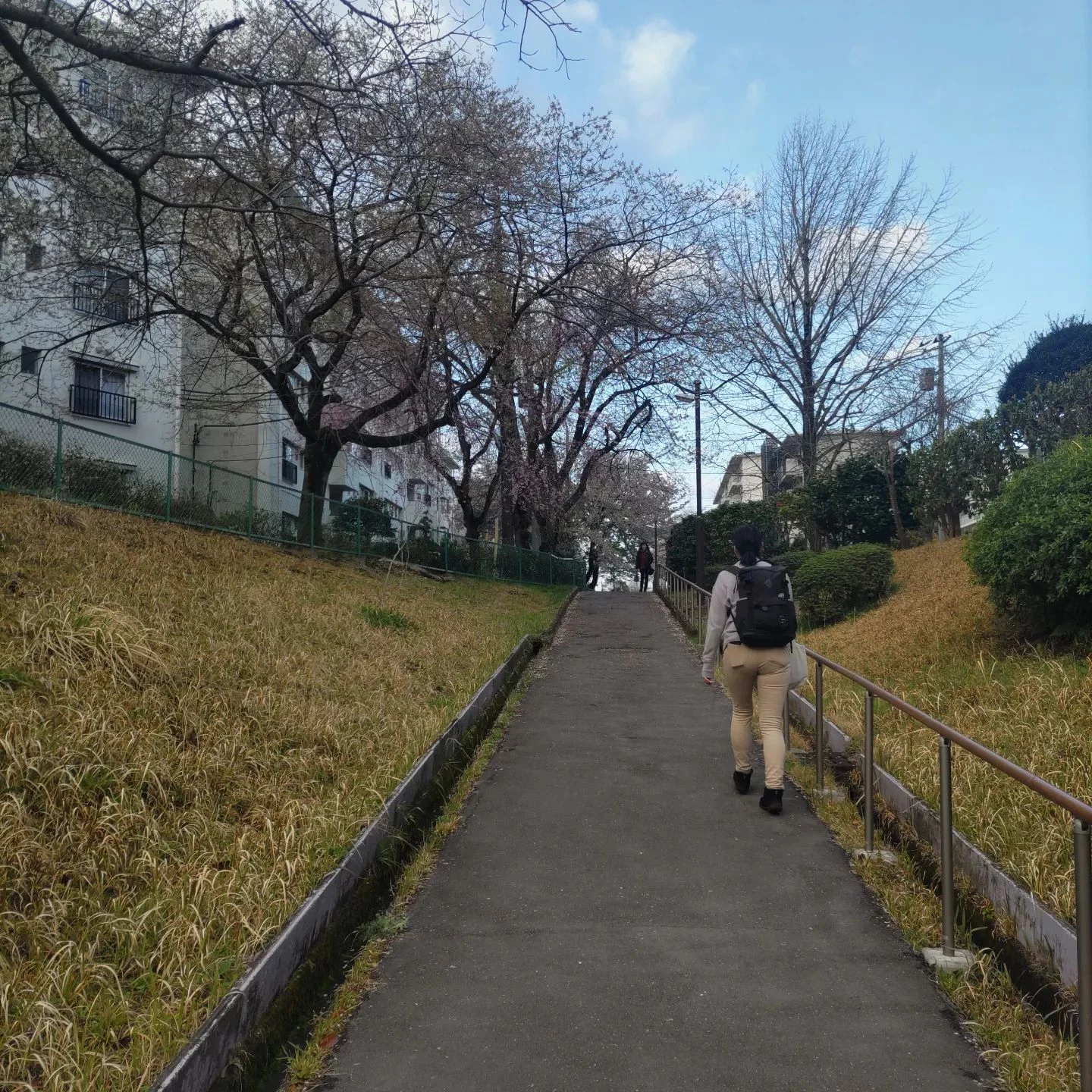 画像389