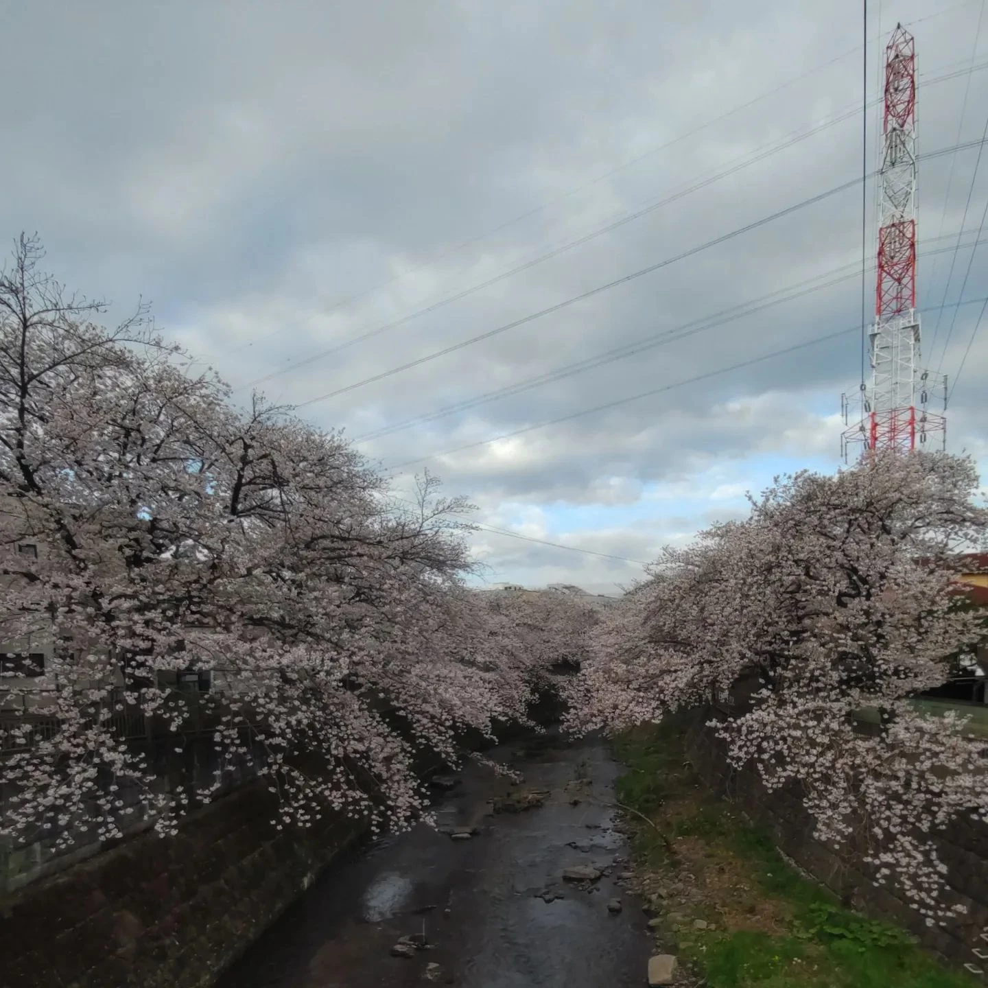 画像391